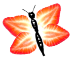 Strawberry_Butterfly
